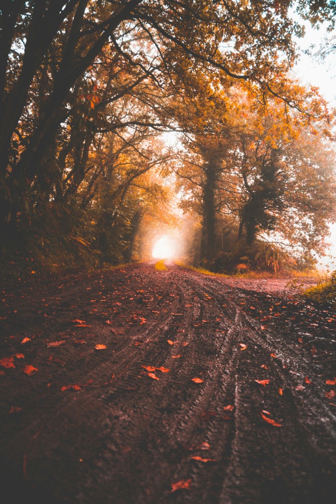 quentin-zwzeorQPepo-unsplash.jpg