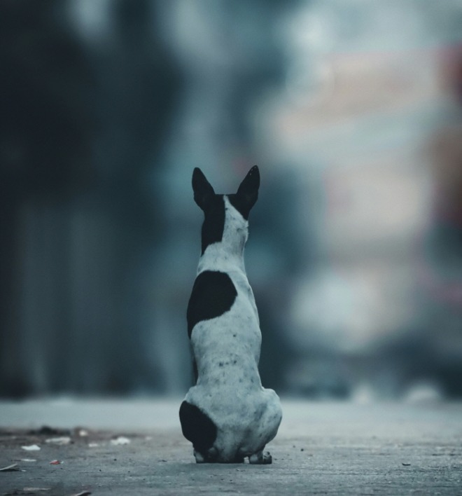 [꾸미기][크기변환]yash-rai-jbXxUH2uNxo-unsplash.jpg
