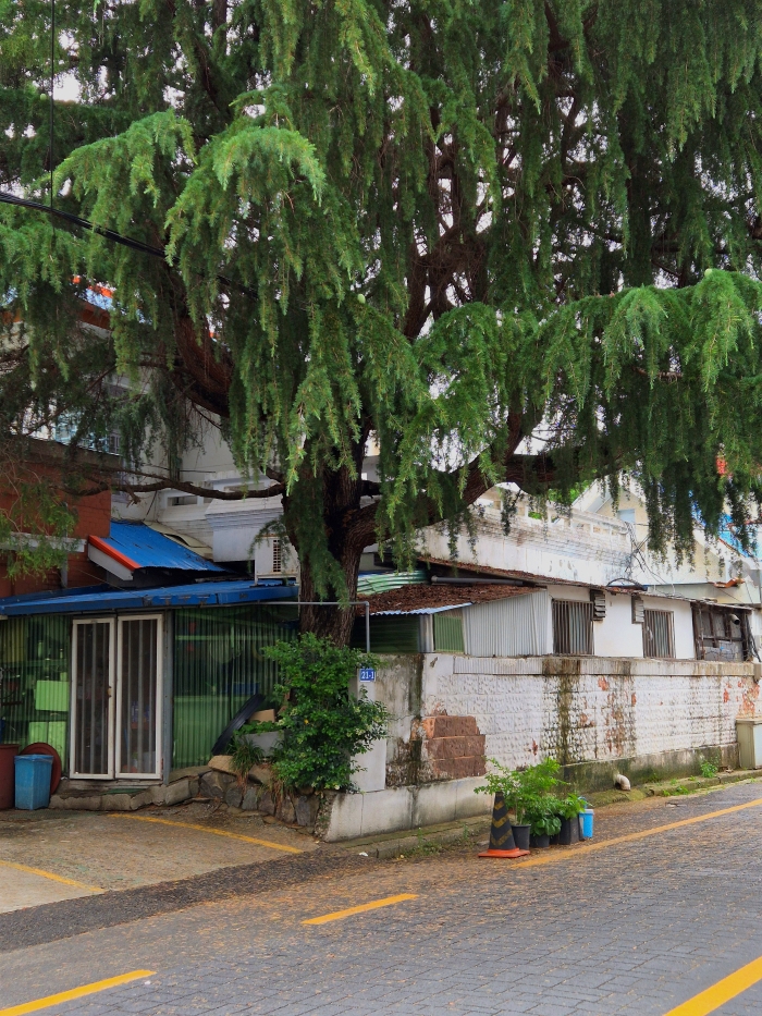 군산 이미지.jpg