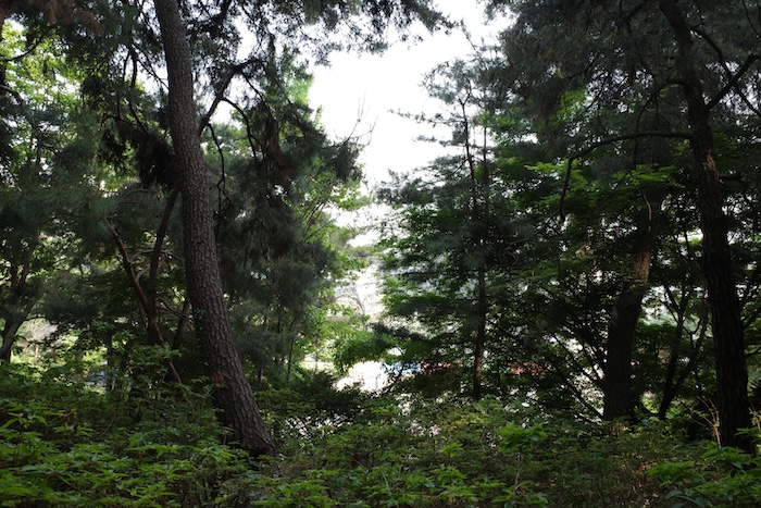 R0007310.JPG