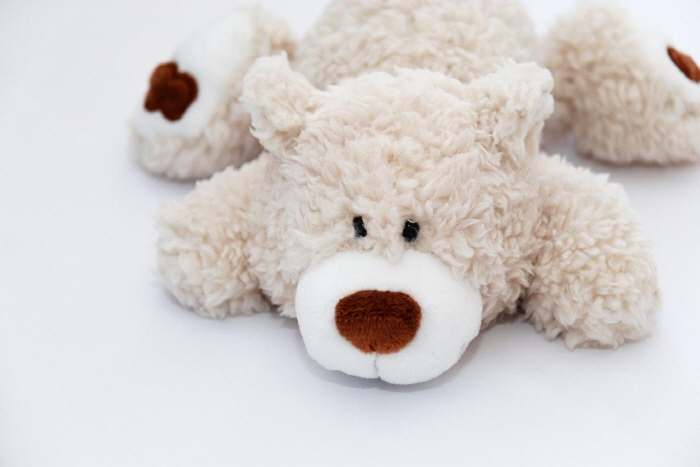 [크기변환]teddy-8783348_1280.jpg