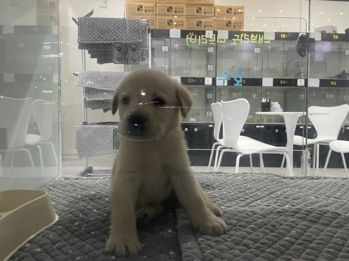 [크기변환][포맷변환]KakaoTalk_20250721_222443346.jpg