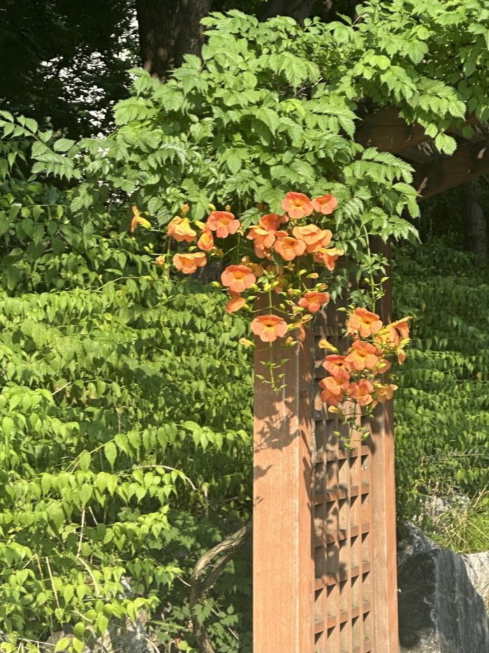 [포맷변환][크기변환]IMG_1825.jpg