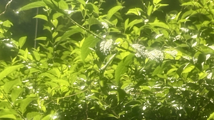 [크기변환]KakaoTalk_20250729_152234842_01.jpg