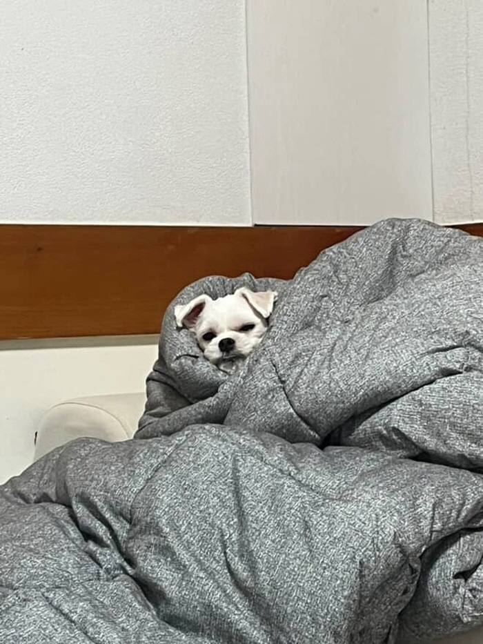 [크기변환][포맷변환]KakaoTalk_20250731_014754264.jpg