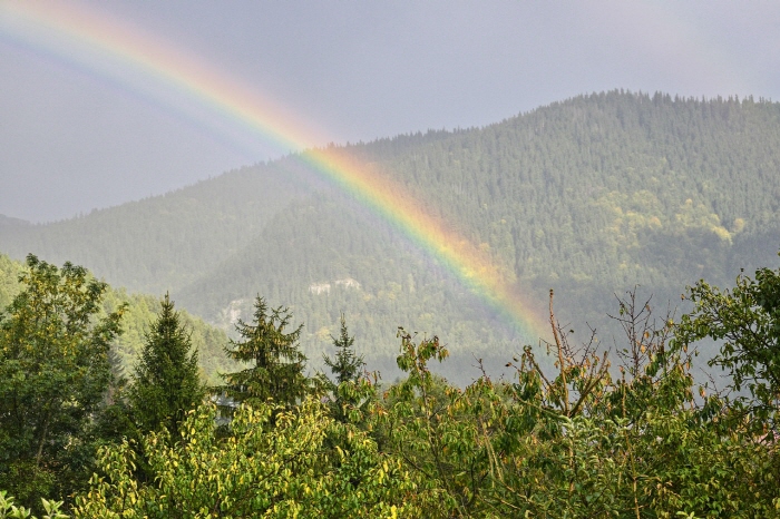 [크기변환]rainbow-6964089_1280.jpg
