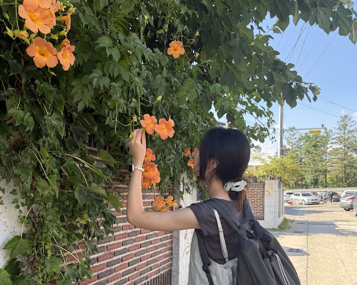 IMG_9830 2.jpg