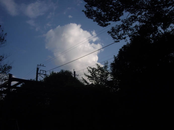 237052382_j1HhZB6u_IMGP2656.jpg