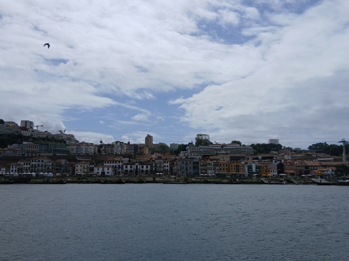 900_20250831_125009.jpg