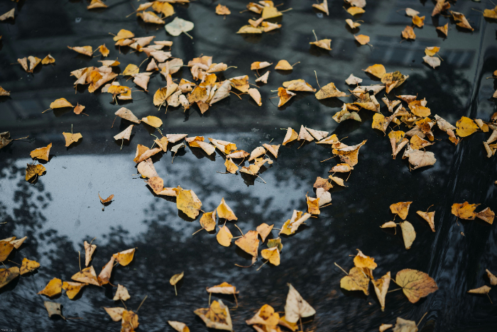 roman-kraft-XdbUsFkAwqA-unsplash.jpg