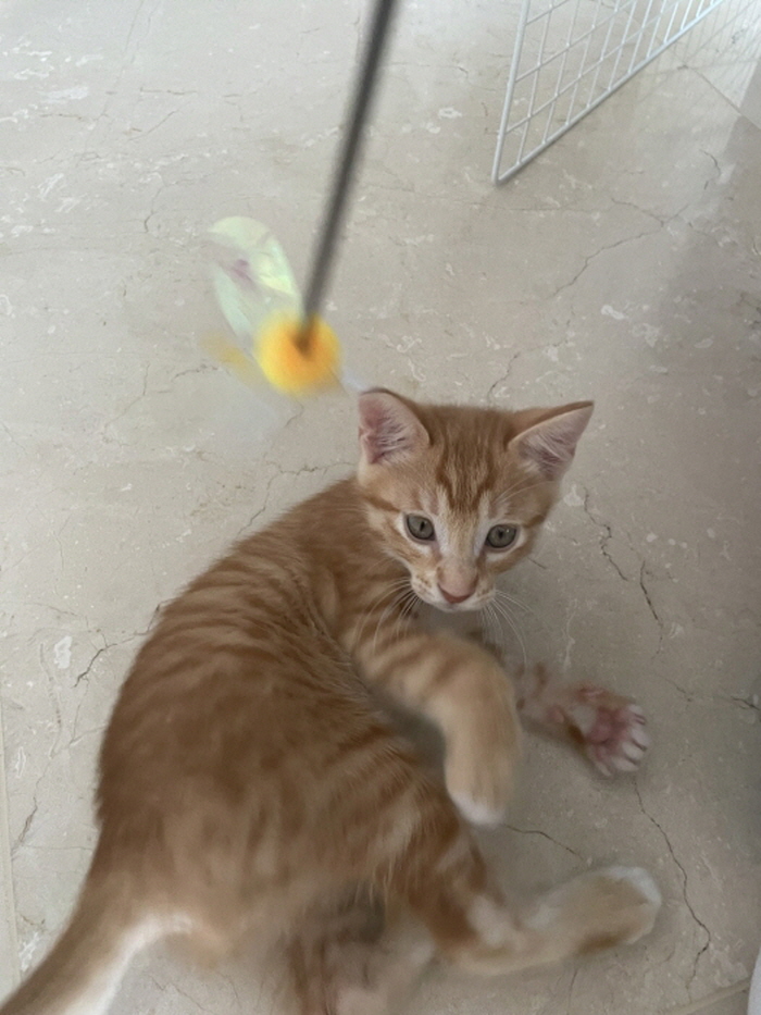 [크기변환][회전][크기변환]KakaoTalk_20251113_230834042.jpg
