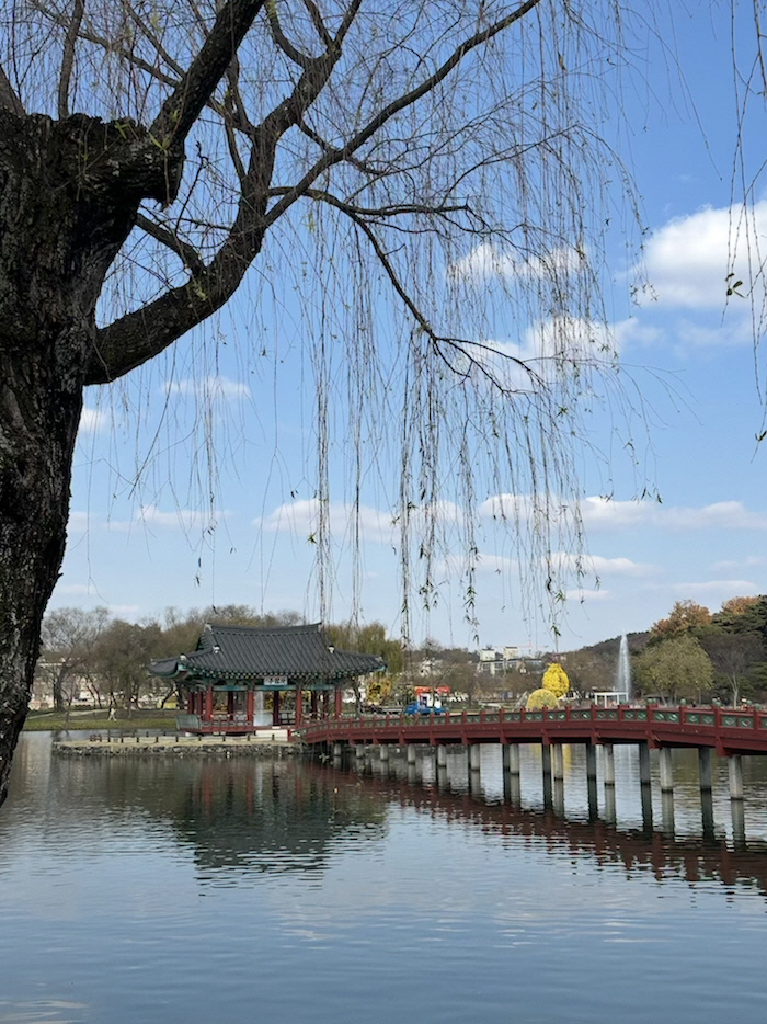 KakaoTalk_20251120_134743939_01.jpg