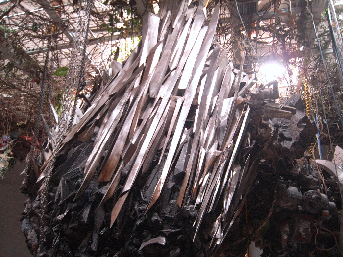 SUC51097.JPG