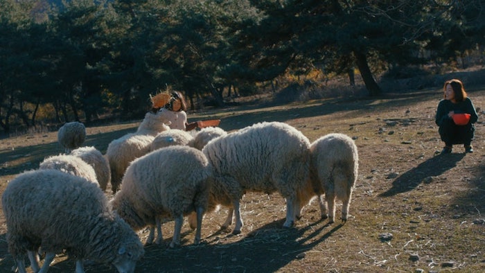 정말4.jpg