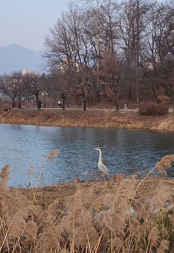 20251217_162624.jpg