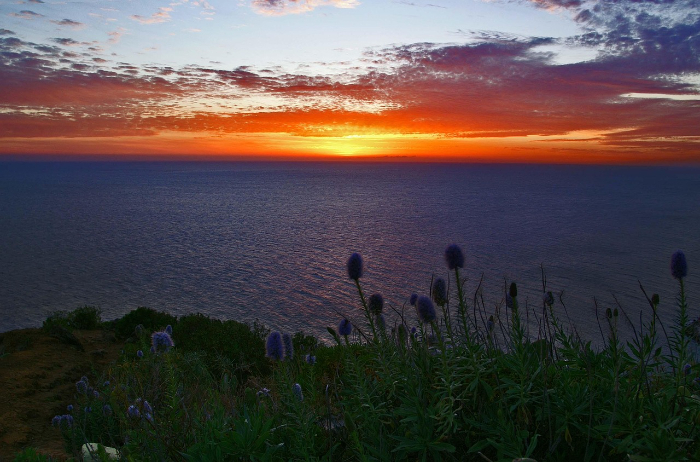 sunset-3129596_1280.jpg