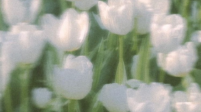 3076565448_ecXqMEQL_IMG_1870.jpg