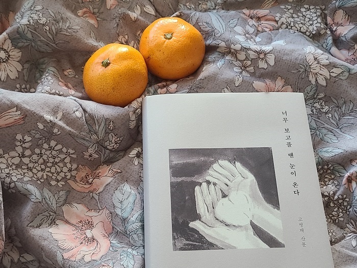 겨울책.jpg