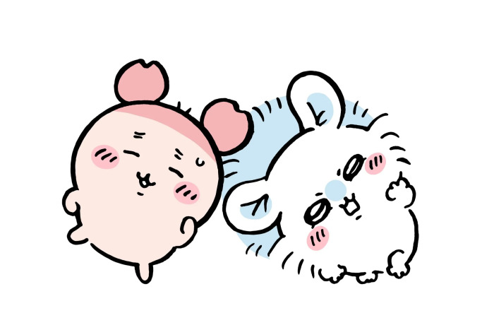 카니_모몽가-001.jpg
