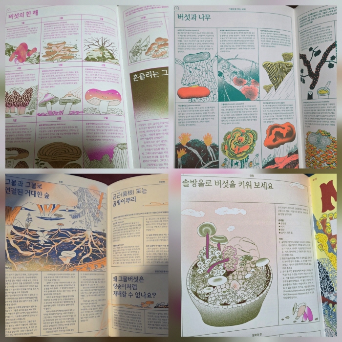 [크기변환]KakaoTalk_20260227_145703819.jpg