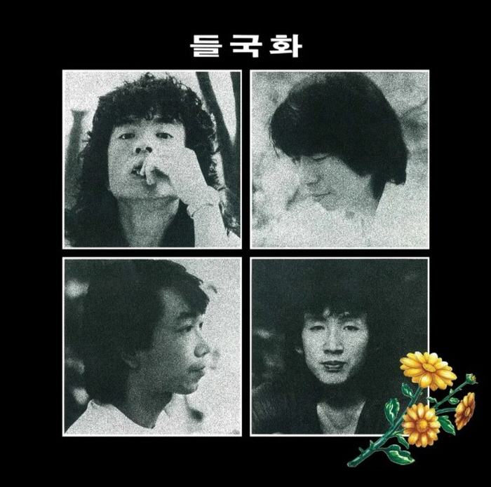 [크기변환]들국화.jpg