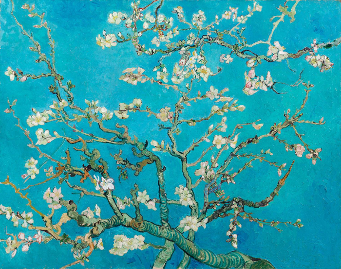 thumb_20200718023819_031_almond_blossom_UHR.jpg