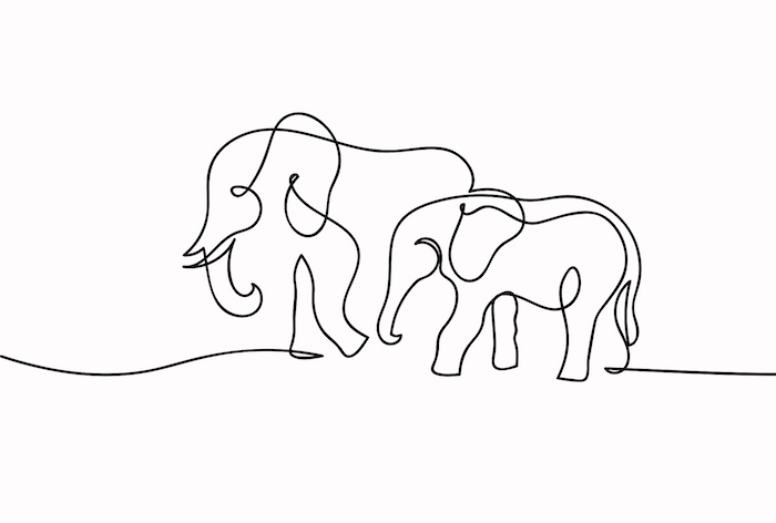 biancavandijk-elephants-7726385_1920.jpg