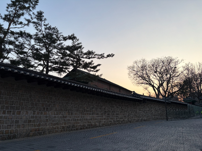 IMG_2727.jpeg
