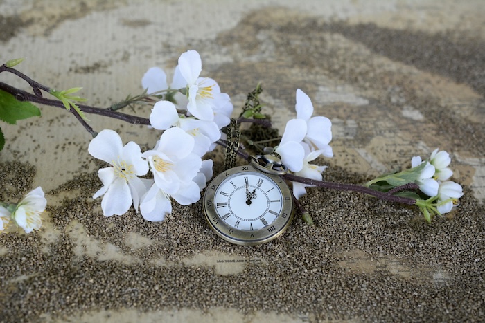 anncapictures-pocket-watch-1637392.jpg