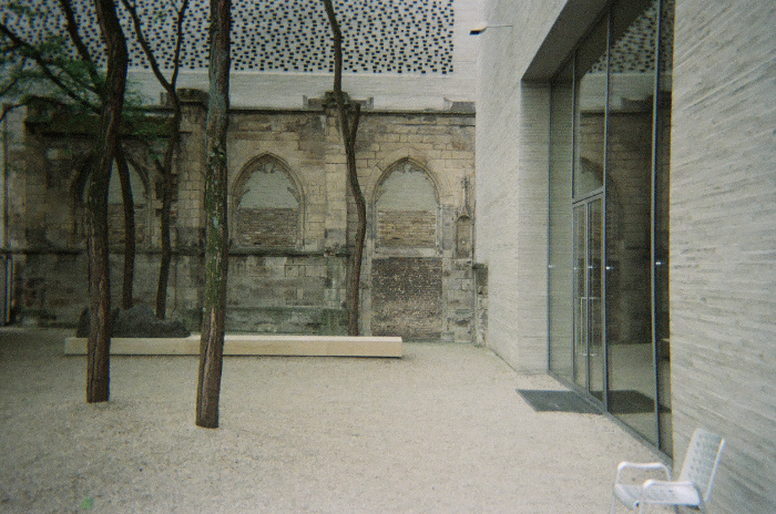 IMG_3710.jpeg