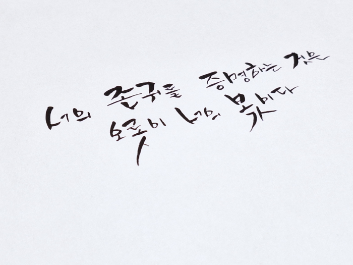배움 캘리.jpg