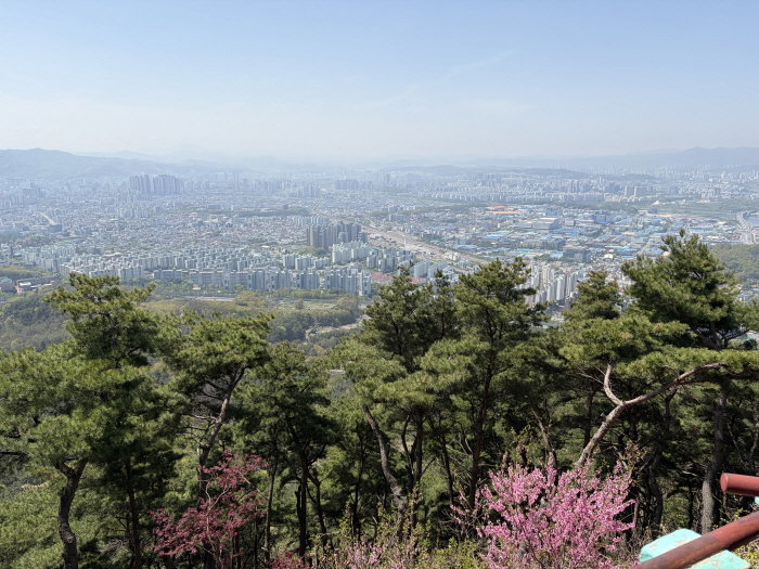 [크기변환]KakaoTalk_20260502_001703131.jpg