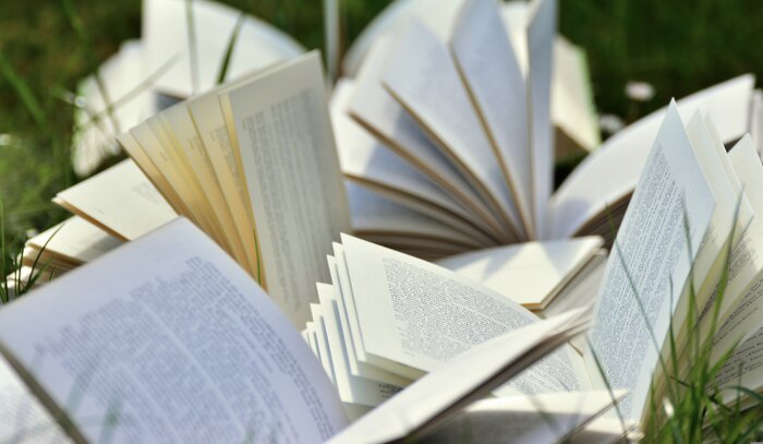 congerdesign-books-2241635.jpg