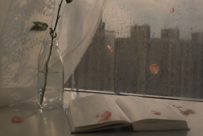 120c8f1f-410d-4a51-8676-bc02d2bb560a.png