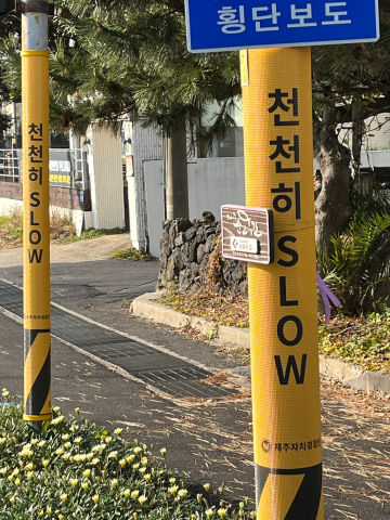 BandiView_천천히.jpg