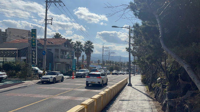 제주도길.jpg