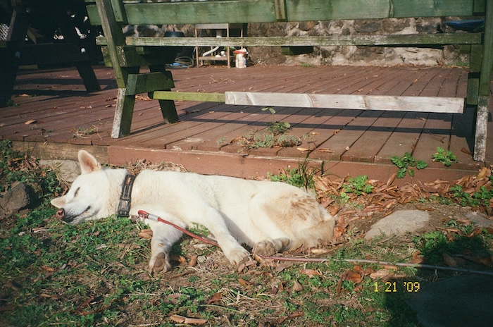 IMG_7786.JPG