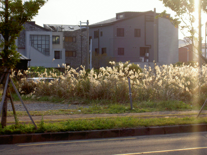 PICT3613.JPG