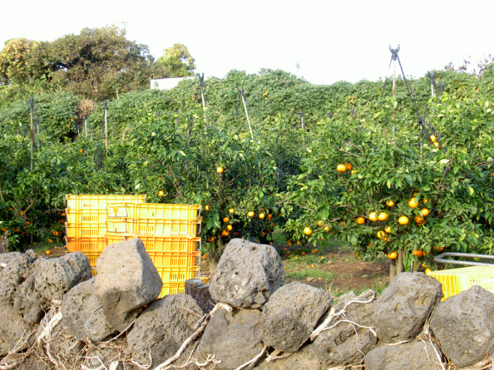 PICT3660.JPG