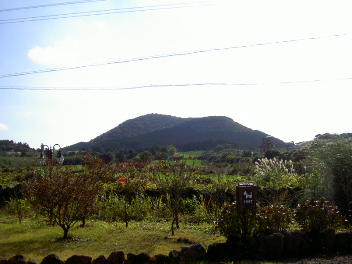 PICT3688.JPG