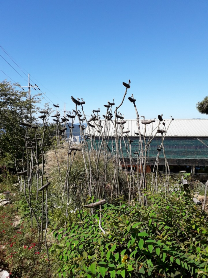 KakaoTalk_20260815_215126829_04.jpg