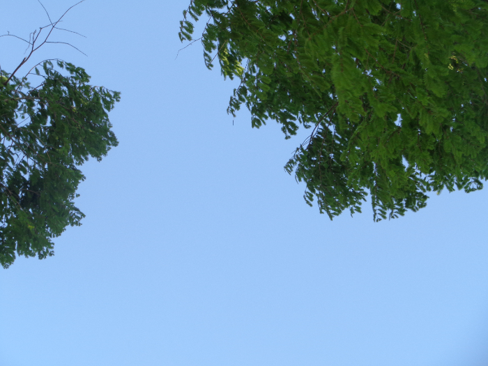 DSC01266.JPG
