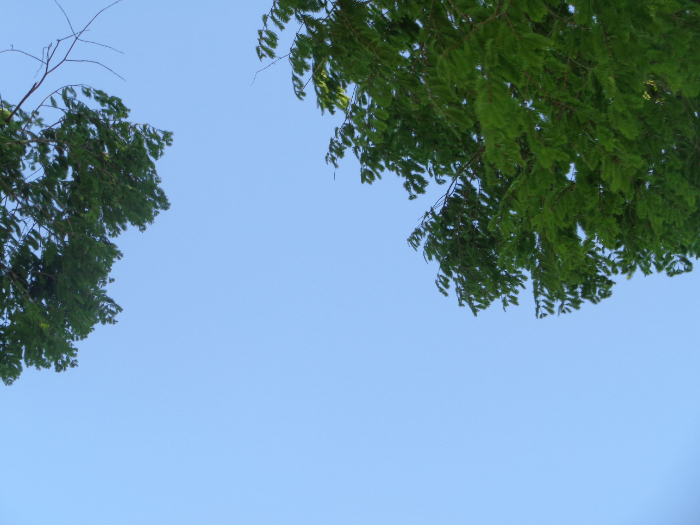 DSC01266.jpg