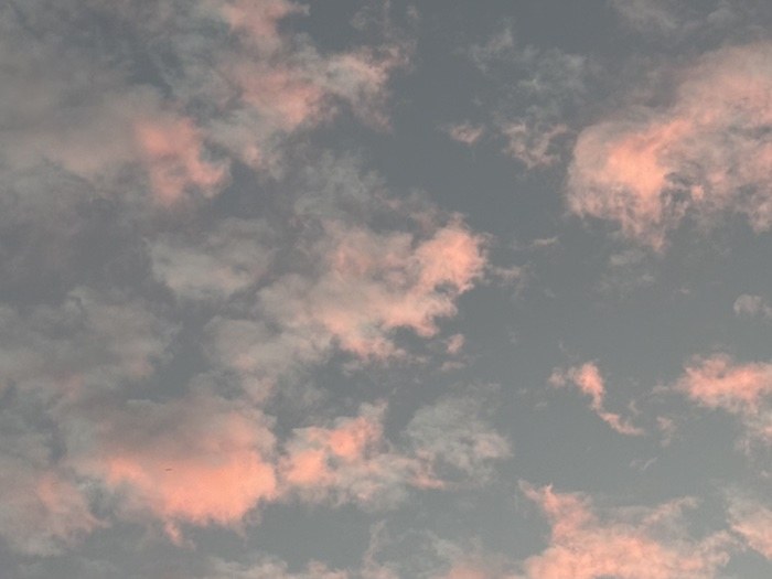 20260914145014_ff3d348071f4.jpg