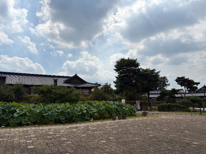 KakaoTalk_20260918_113529881_01.jpg