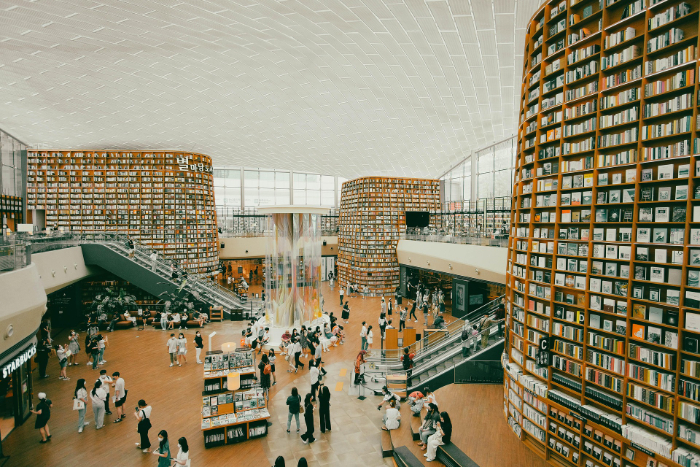 thaoantran0101-books-7744938_1920.jpg