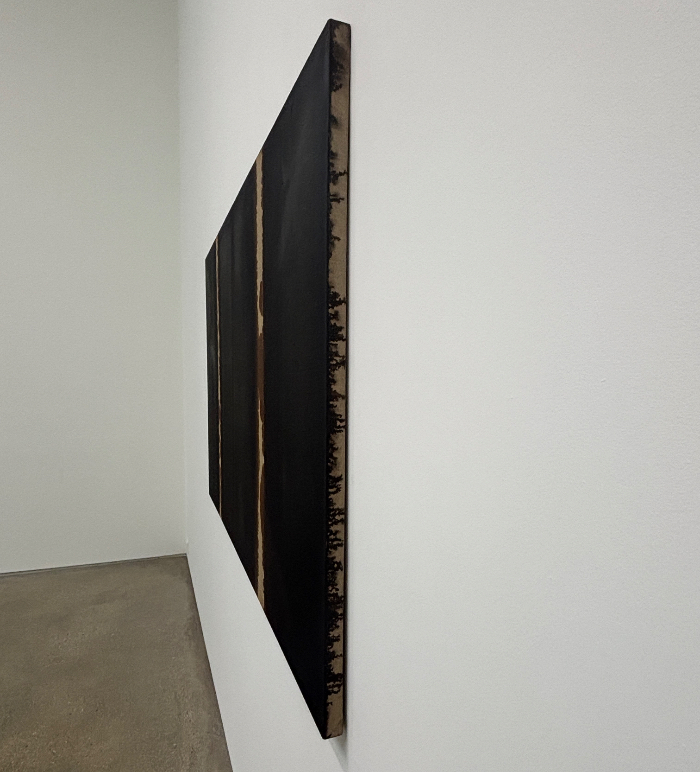 IMG_3624.JPG