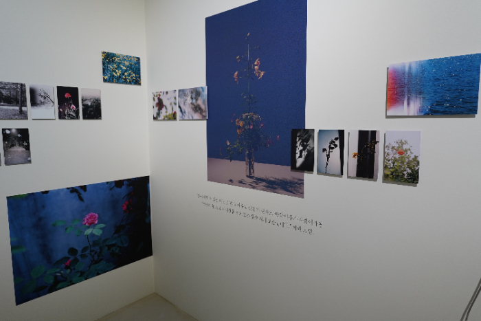 BBB02057.JPG