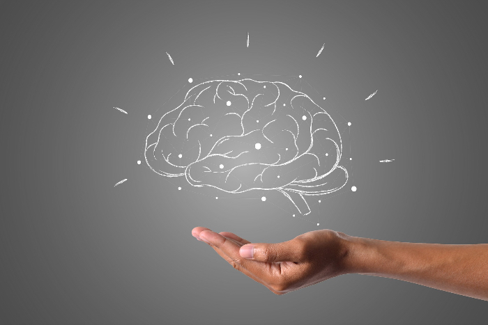 hainguyenrp-brain-4961452_1920.jpg