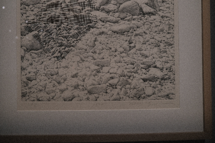 DSCF7843.JPG